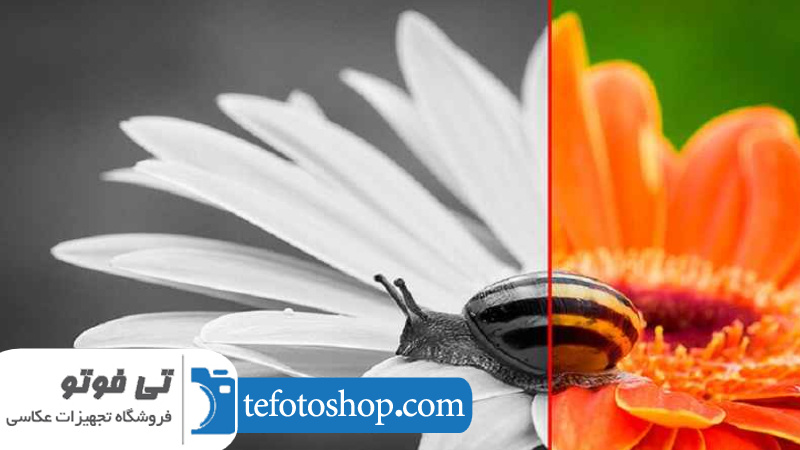 نحوه استفاده از سایه و کنتراست در عکاسی 